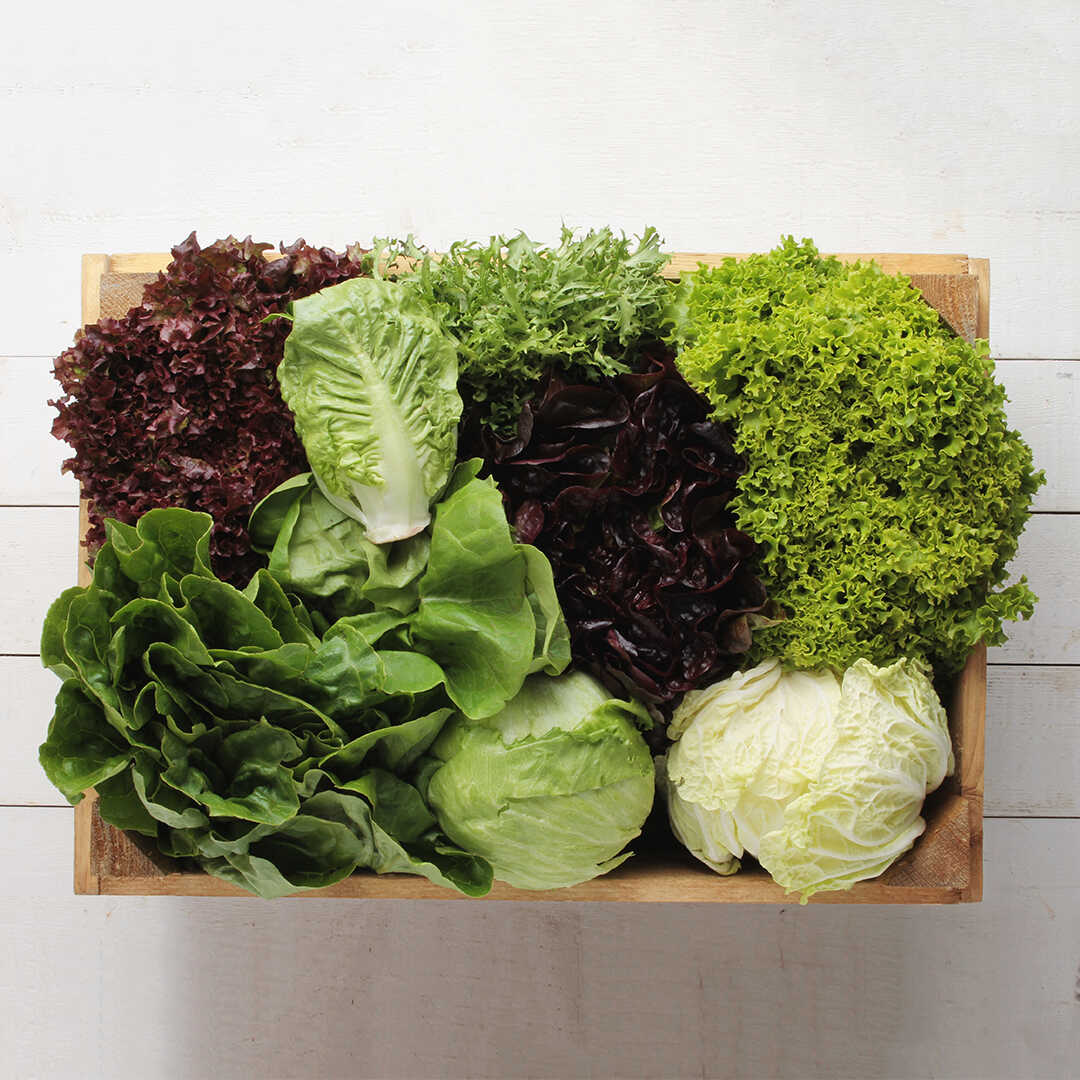 Salata yaparken kullanılan yeşillik resmi