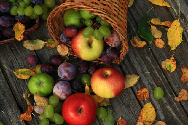 Ekim’in En Taze Sebze ve Meyveleri