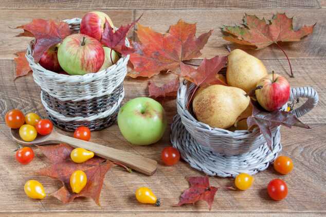 Kasım’ın Lezzet ve Sağlık Dolu Sebze ve Meyveleri…